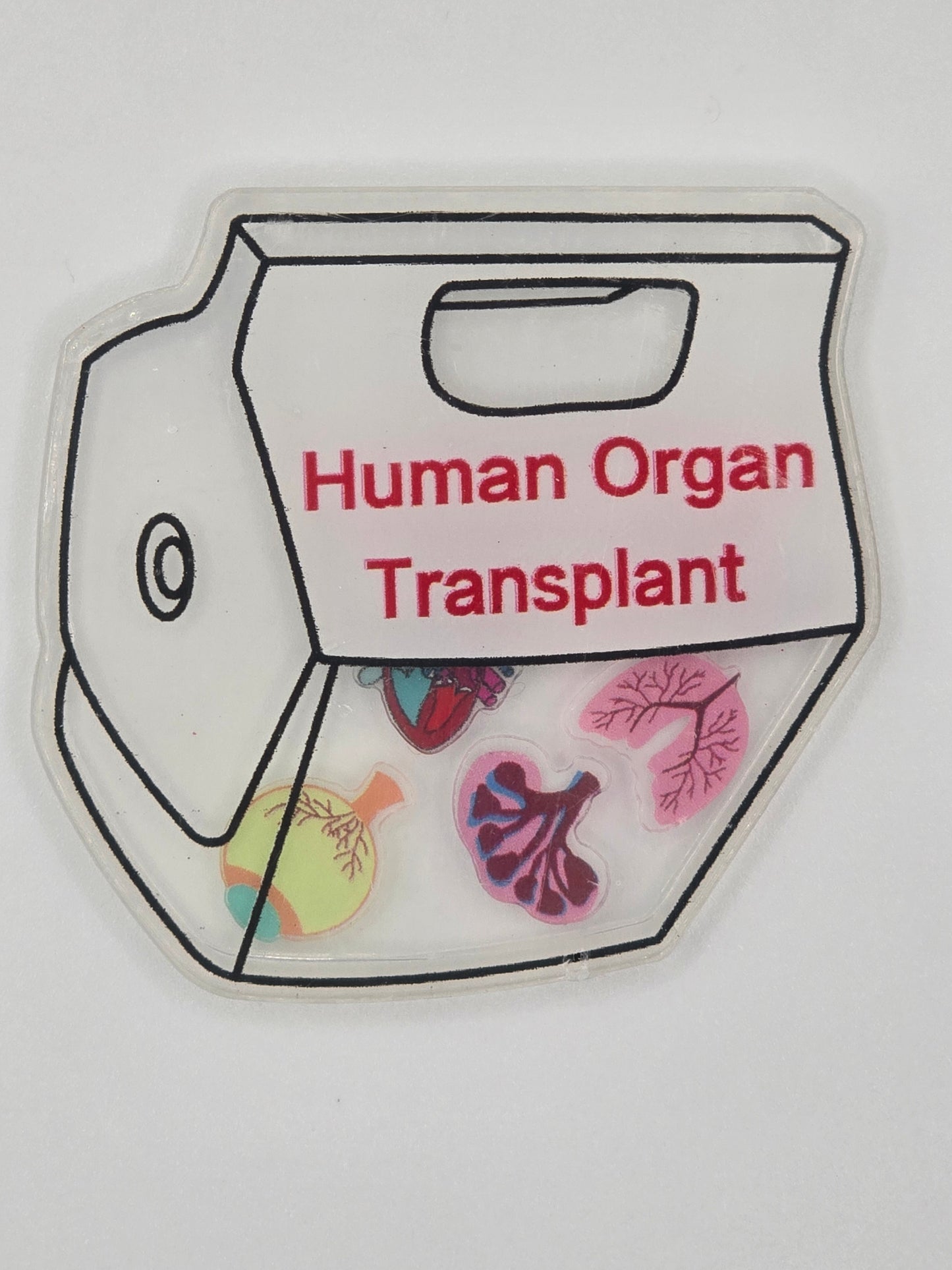Human Organ Transplant