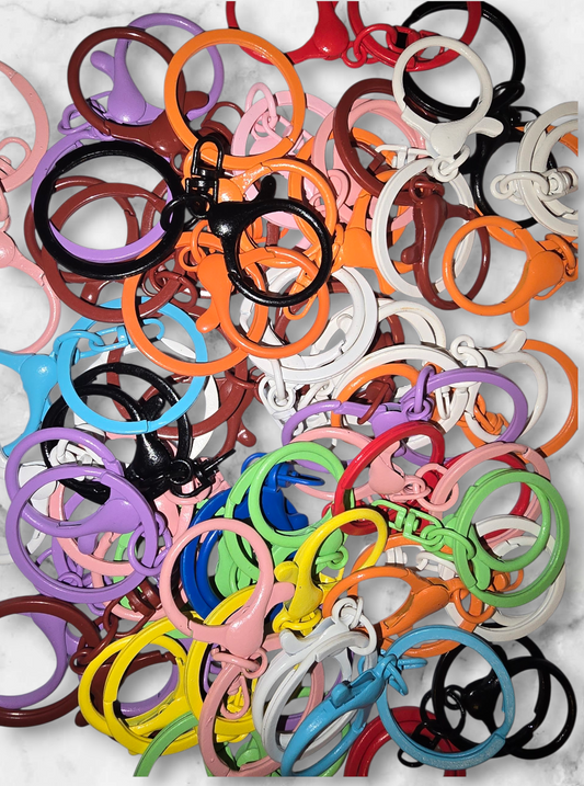 Colored Keychain with Clasp