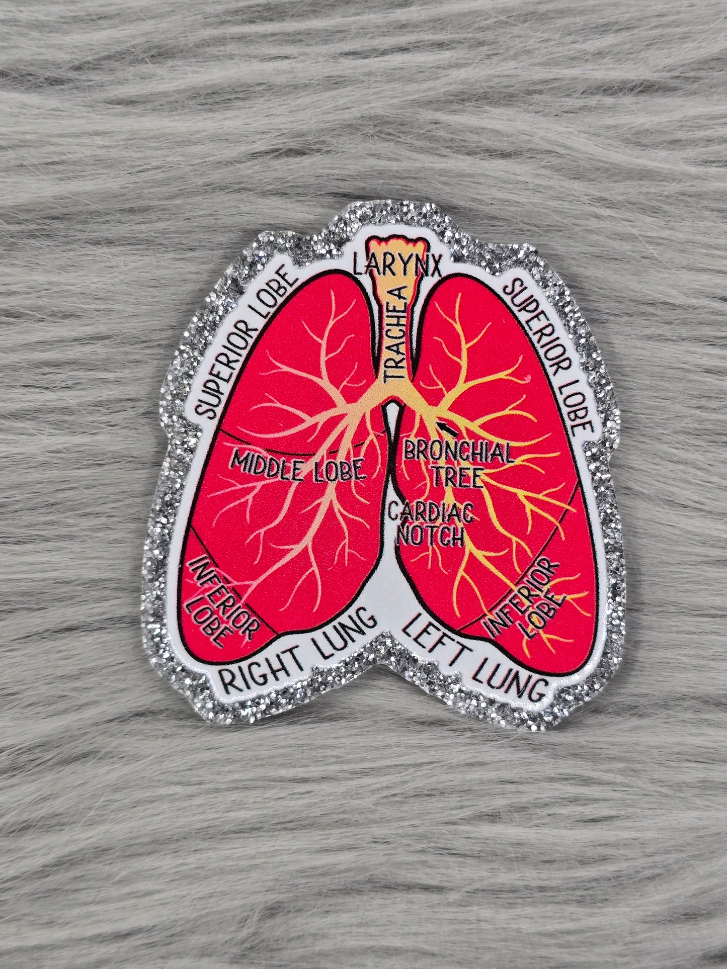 Lungs